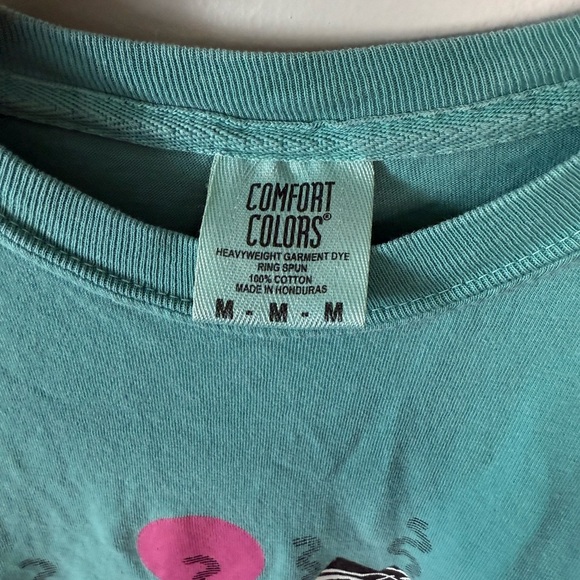 Stoneonta Teal Comfort Colors T-Shirt – Size M – Retro 90s Oneonta shirt - Picture 4 of 4